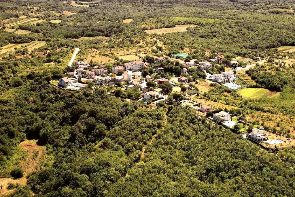 Villa Rustica Buje Esterno foto